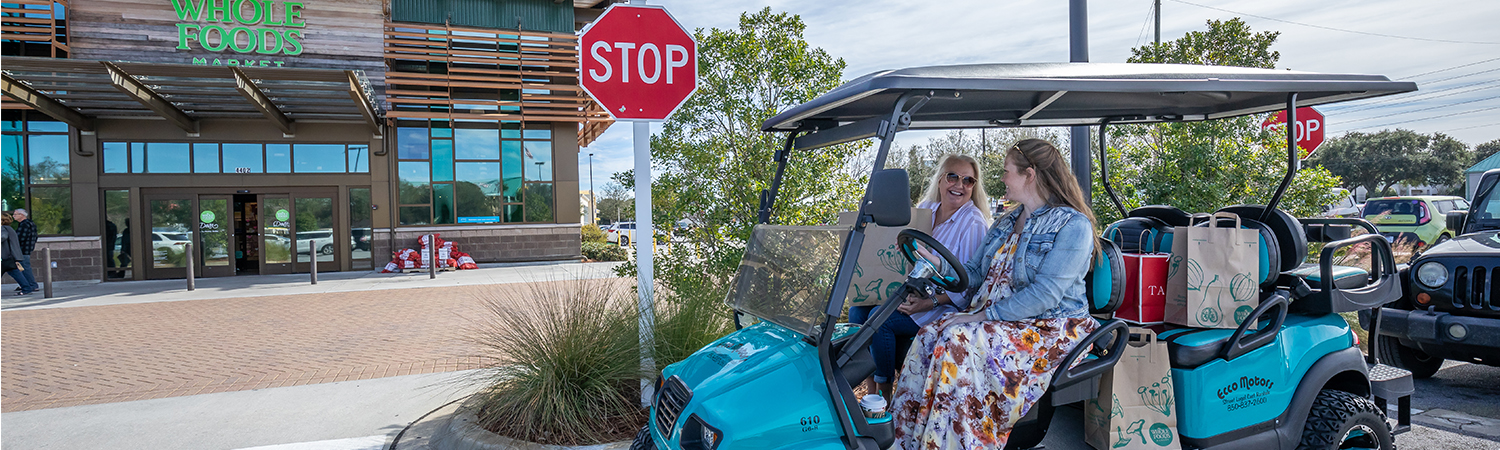 2021 Icon EV Golf Cart for sale in Ecco Motors, Destin, Florida